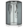 Душевая кабина Niagara Premium, 100х100, 69020134DBLACK