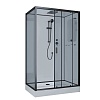 Душевая кабина Niagara Premium, 120х80, 69120134QRBLACK