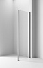 Душевая перегородка Ambassador Intense, 110х200, 110IX