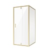 Душевой угол Niagara Nova, 100х80, NG-43-10AG-A80G