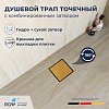 Душевой трап квадратный RGW SDR-10 79211000-06, брашированное золото