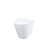 Унитаз IDDIS Ray, подвесной, RAYRDSEi25
