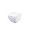 Унитаз IDDIS Torr, подвесной, TORRDSEi25