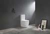 Унитаз CeramaLux, напольный, TR2176