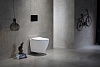 Унитаз CeramaLux, подвесной, TR2196