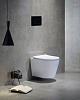 Унитаз CeramaLux, подвесной, TR5178