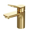 Смеситель для раковины AM.PM X-Joy, золотой, F85A02199