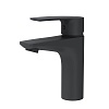 Смеситель для раковины AM.PM Gem, черный, F90A02122