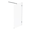 Душевая перегородка AM.PM X-Joy, 100 см, W94WI-100-F1-BTE