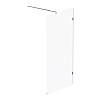 Душевая перегородка AM.PM X-Joy, 100 см, W94WI-100-F1-MTE