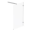 Душевая перегородка AM.PM X-Joy, 120 см, W94WI-120-F1-BTE