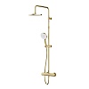 Душевая система AM.PM X-Joy, золотой, F0785A499