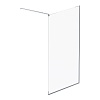 Душевая перегородка AM.PM Func, 120 см, W84WI-120-F1-MTE