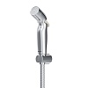 Лейка для биде Damixa Shower program, хром, 760550200
