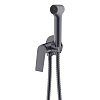 Встраиваемый смеситель с гигиеническим душем Azario Lursy, графит, AZ-KFX49GR