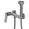 Накладной смеситель с гигиеническим душем Azario Escaro, графит, AZ-K2574GR