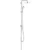 Душевая стойка Grohe Tempesta New Cosmopolitan 100, хром, 26453001